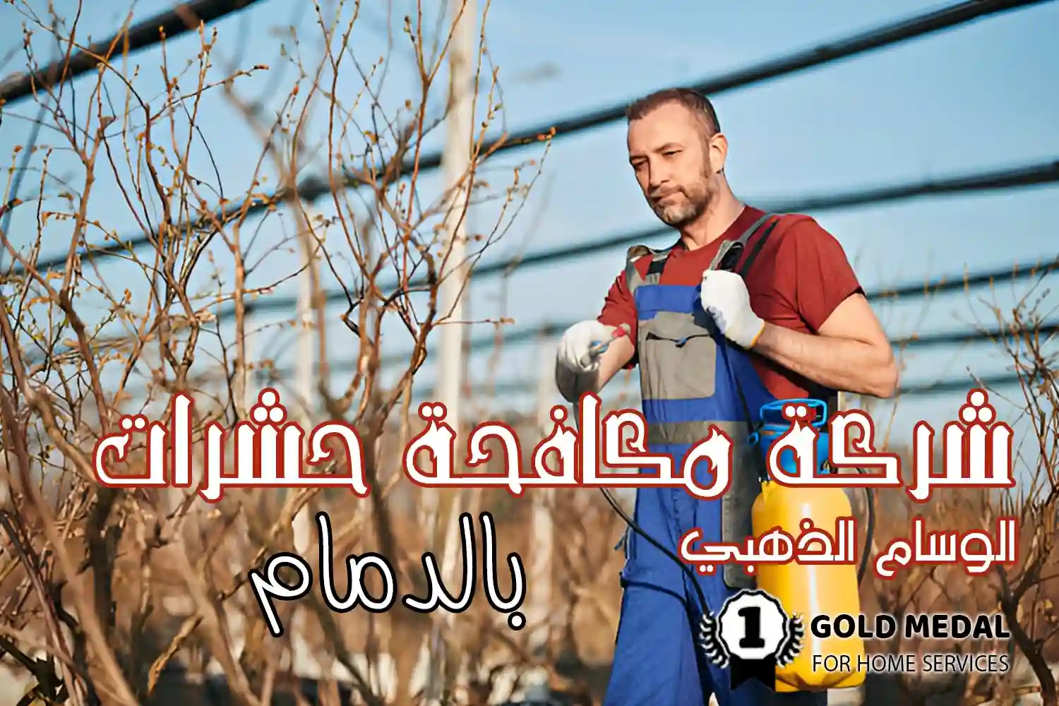 شركة مكافحة حشرات بالدمام
